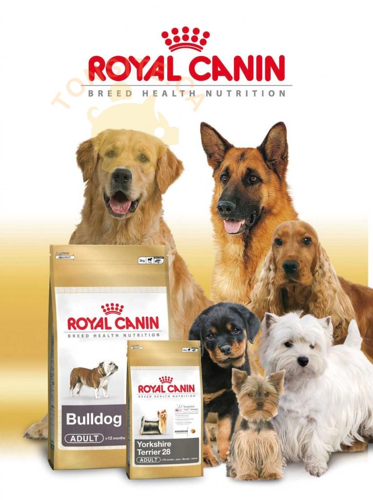 échantillon de nourriture pour chiens Royal Canin.
